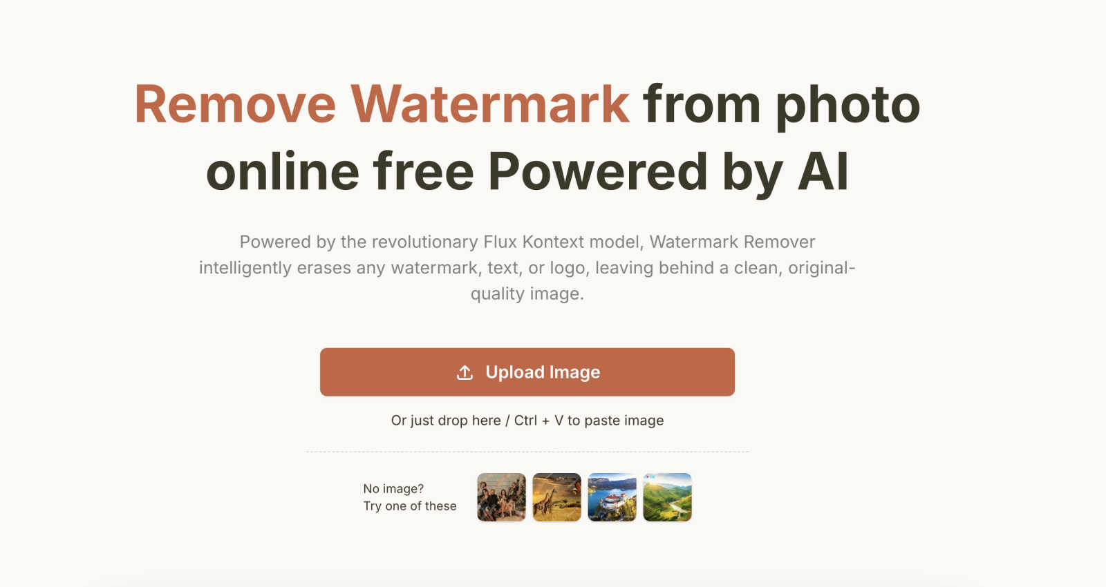 Watermark Remover application interface and features