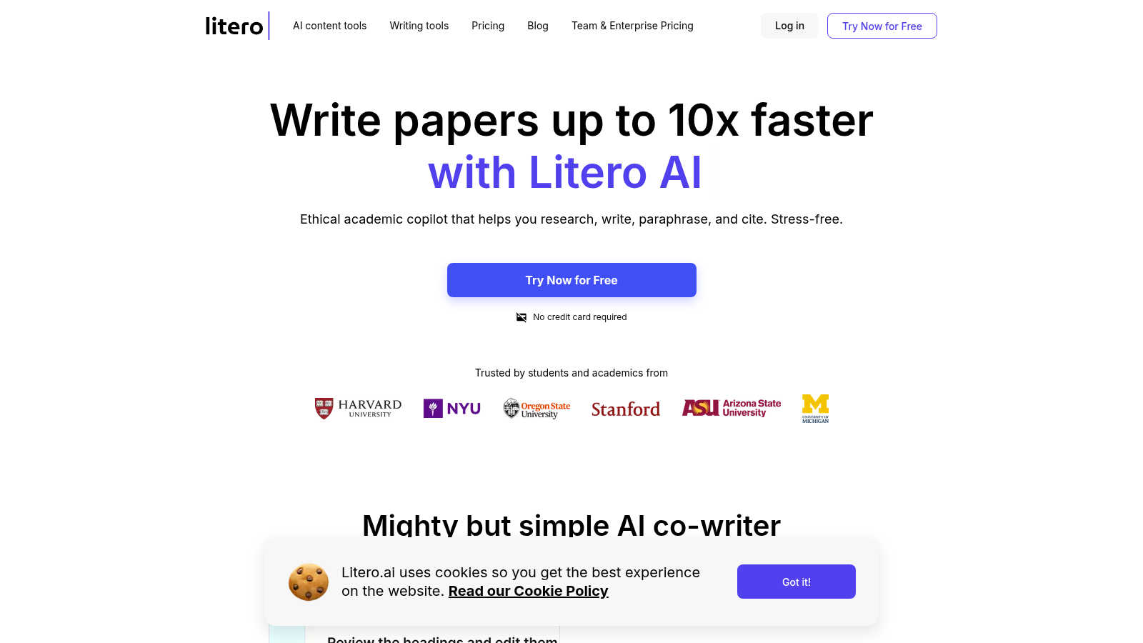 Litero AI application interface and features