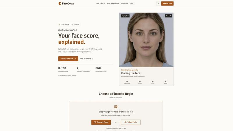 FaceCoda application interface and features