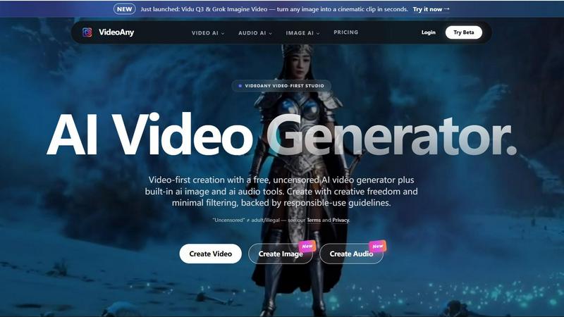 VideoAny application interface and features